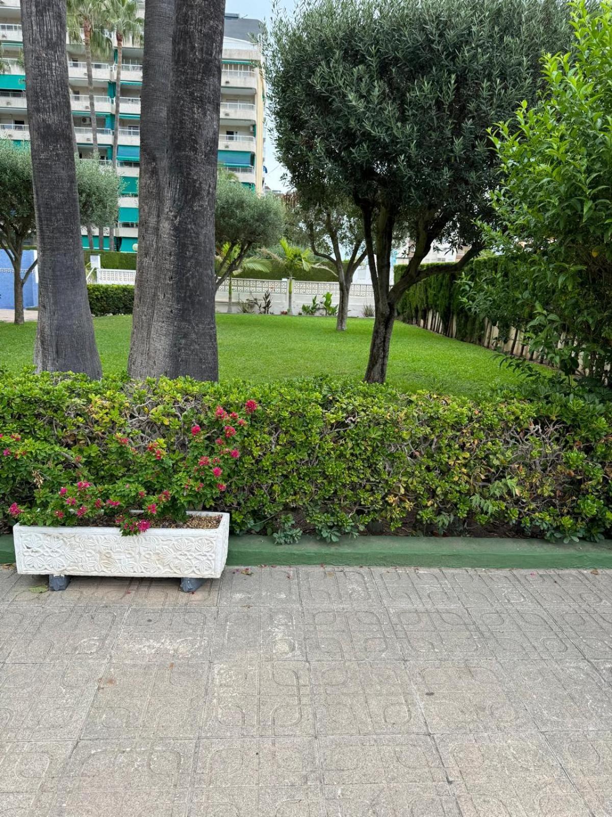 Laramar Daire Playa de Gandia Dış mekan fotoğraf